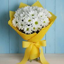 Букет цветов из:  Хризантемы в Клинцах