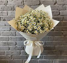 Букет цветов из:  Ромашки в Клинцах