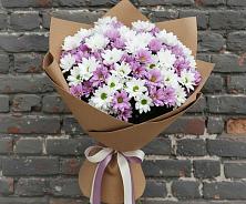 Букет цветов из:  Хризантемы в Клинцах