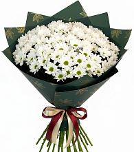 Букет цветов из:  Хризантемы #REPLACE_PRED# Клинцах