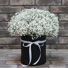 Цветочная композиция из Гипсофила в шляпной коробке в Клинцах