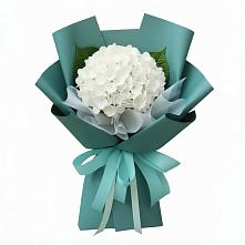 Букет цветов из:  Гортензия в Клинцах